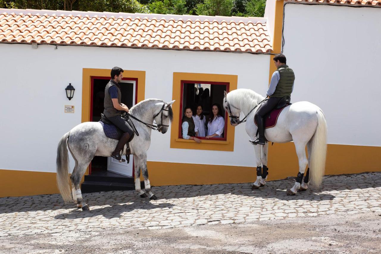 アングラ・ド・エロイーズモ Quinta Do Malhinha- Turismoヴィラ エクステリア 写真